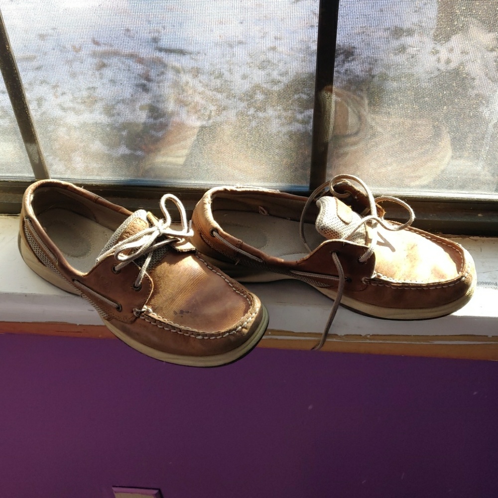 Sperry shoes